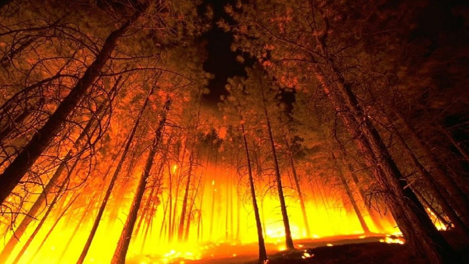 BNG reclama a declaración como zona catastrófica das áreas destruídas polos lumes na Galiza