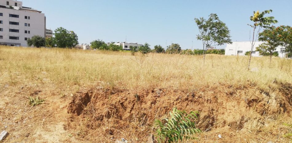 Adelante Andalucía exige un plan preventivo de incendios para Jerez