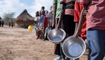 Un informe internacional advierte sobre el riesgo de agravamiento de crisis alimentarias