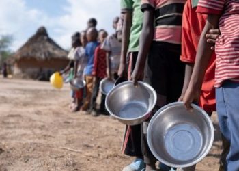 ONU llama a unir fuerzas en contra de la crisis alimentaria
