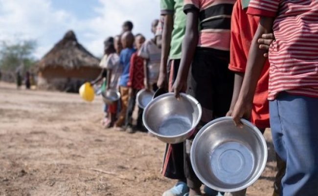 Un informe internacional advierte sobre el riesgo de agravamiento de crisis alimentarias