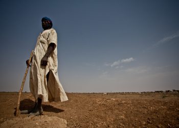 América Latina ante la “tormenta global”