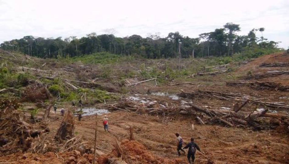 Aumenta el acaparamiento de tierras en el mundo