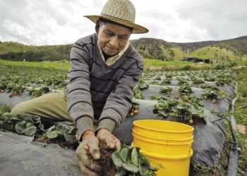 Reforma Agraria en Colombia: un viejo problema y una solución postergada