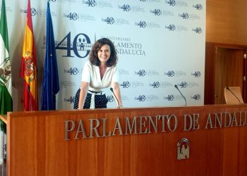 Más País Andalucía advierte de la “dejación de funciones” de la Junta ante la situación del Hospital Maternal del Virgen del Rocío