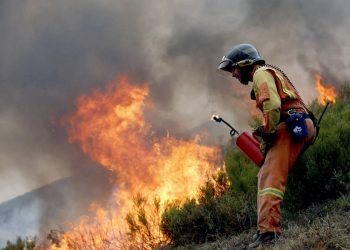 El régimen de incendios del continente europeo ha experimentado un cambio sin precedentes