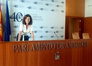 Más País Andalucía asegura que la bajada de ratio en las aulas se debatirá en el Parlamento