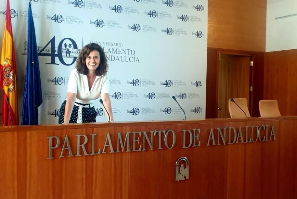 Más País Andalucía asegura que la bajada de ratio en las aulas se debatirá en el Parlamento