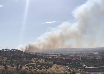 El incendio de Aranjuez ha afectado a la Reserva Natural El Regajal-Mar de Ontígola y espacio protegido Red Natura 2000