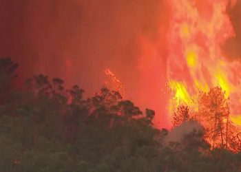 Lamentan la ola de incendios y critican la gestión de la Junta de Extremadura en la prevención