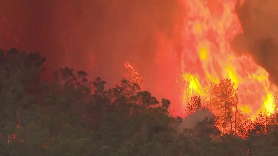 Lamentan la ola de incendios y critican la gestión de la Junta de Extremadura en la prevención