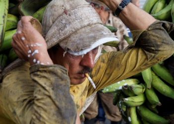 ACNUR y la OIM denuncian que han muerto 192 migrantes en Centroamérica y México este 2022