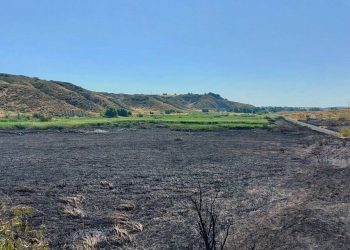 Ecologistas denuncia que un incendio afecta a la Reserva Natural El Regajal-Mar de Ontígola y espacio protegido Red Natura 2000