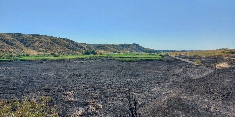 Ecologistas denuncia que un incendio afecta a la Reserva Natural El Regajal-Mar de Ontígola y espacio protegido Red Natura 2000