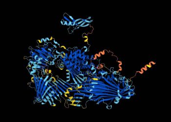 La IA predice la estructura de casi todas las proteínas conocidas por la ciencia