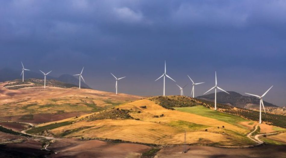 Verdes e Europa-Tarifa recoge con satisfacción la investigación sobre los “Impactos sociales y ambientales de las energías renovables”