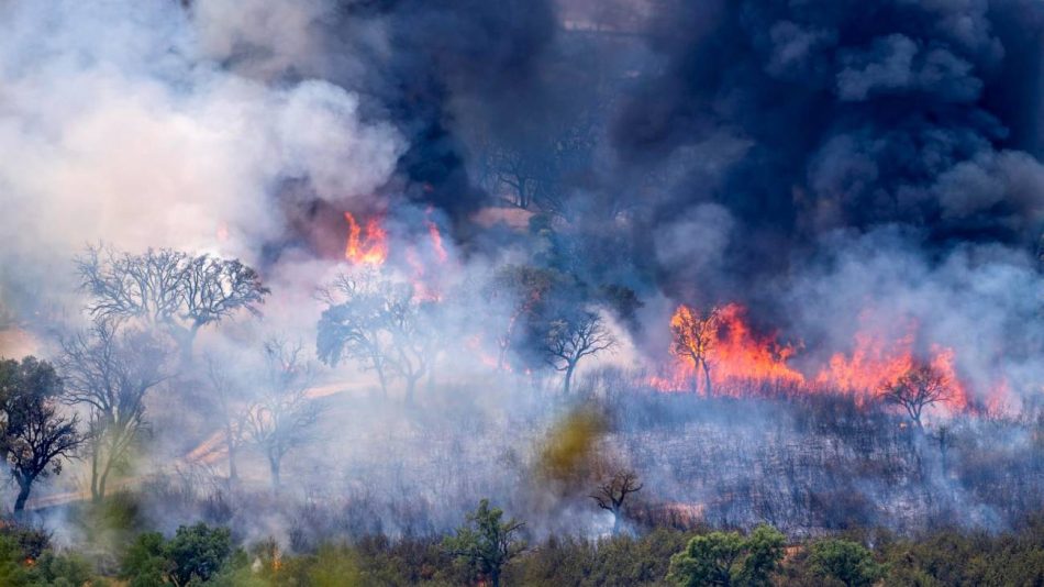 “Todos saben qué hacer ante un terremoto en Japón. Aquí debería ser igual con los incendios”