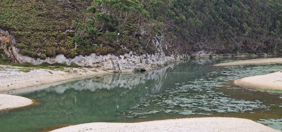 Vertidos al río Bedon que afecta a la playa de San Antolin en LLanes