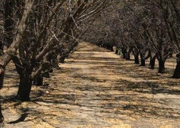 ONU exhorta al mundo a tomar conciencia ante cambio climático