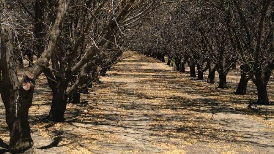 ONU exhorta al mundo a tomar conciencia ante cambio climático