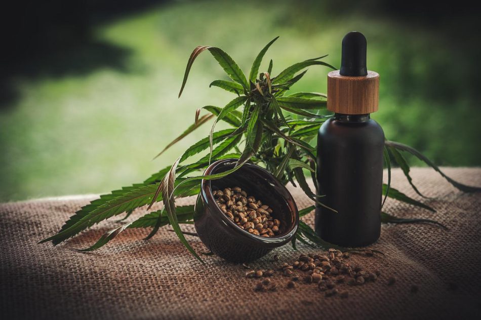 Cannabidiol: Lo que necesitas saber sobre el CBD en España