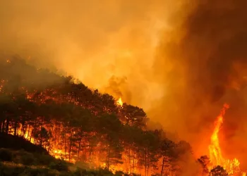 Alianza Verde registra en el Congreso una iniciativa para reducir los impactos del cambio climático en el mundo rural