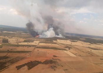 PACMA pide la dimisión de Quiñones por una «histórica devastación forestal» en Castilla y León