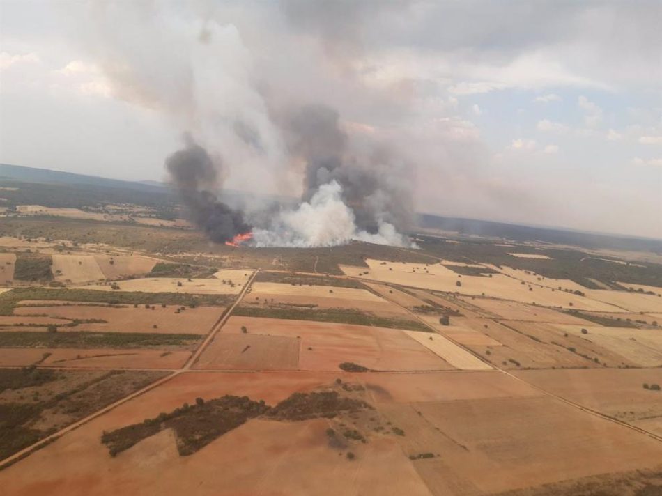 PACMA pide la dimisión de Quiñones por una «histórica devastación forestal» en Castilla y León