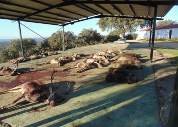 No rotundo de distintas organizaciones y personas a la declaración de Bien de Interés Cultural de las monterías y rehalas en Extremadura