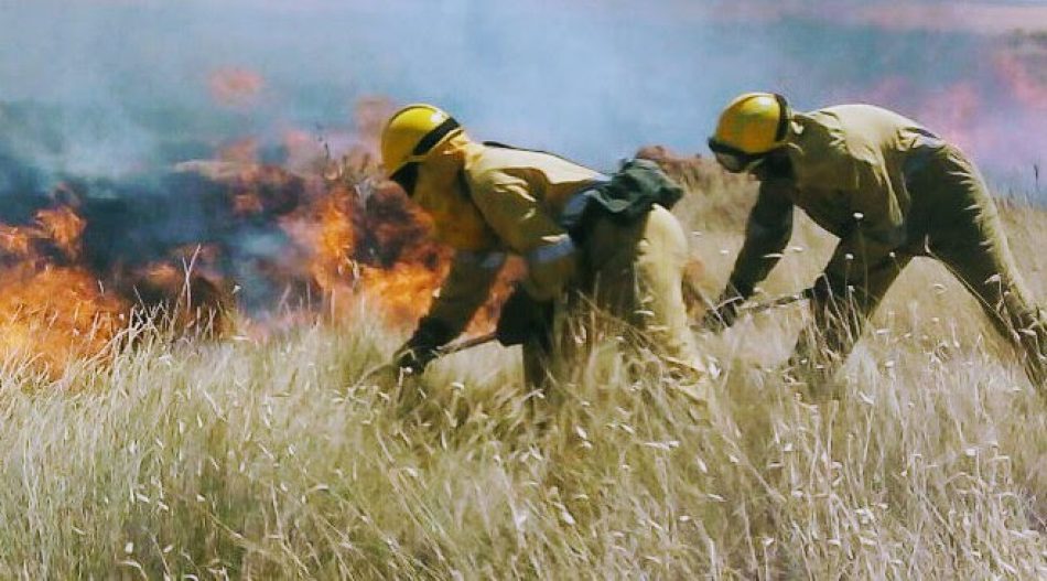 CERAI: «año tras año arden nuestros bosques y pensamos que podría evitarse»