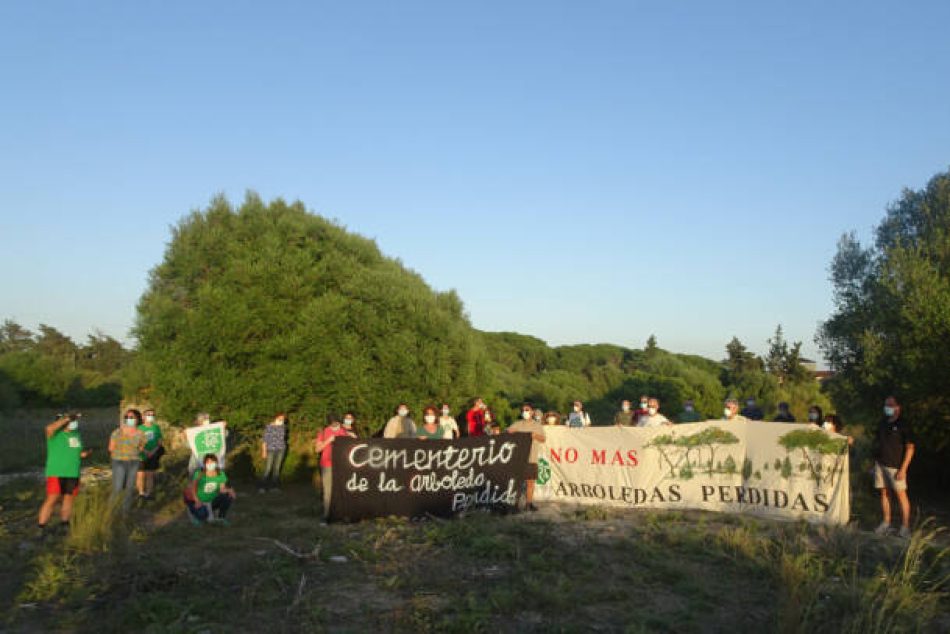 La Junta pretende aprobar un proyecto urbanístico ilegal en Rancho Linares