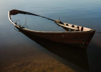 La autosuficiencia argentina: la clave hay que buscarla en el mercado interno