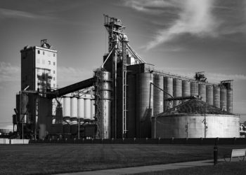 Engordar con el hambre