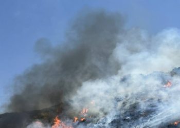 Negligencias, basureros y gamberrismo están detrás de la mayoría de los incendios en la Comunidad de Madrid