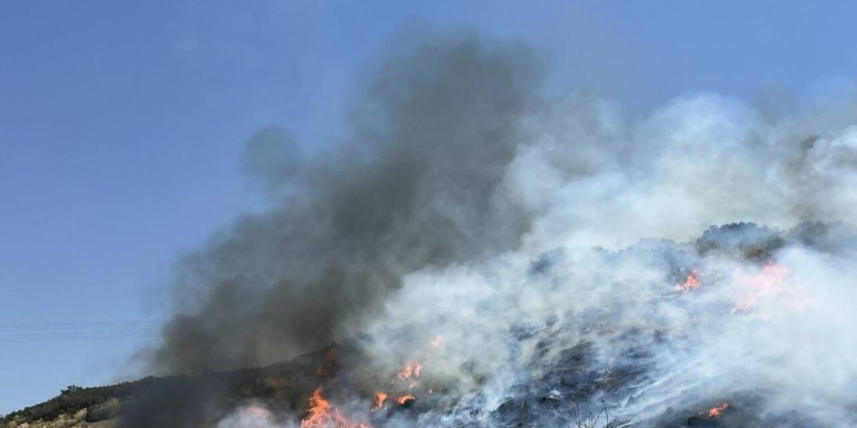 Negligencias, basureros y gamberrismo están detrás de la mayoría de los incendios en la Comunidad de Madrid