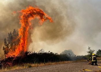 Convivir con el fuego