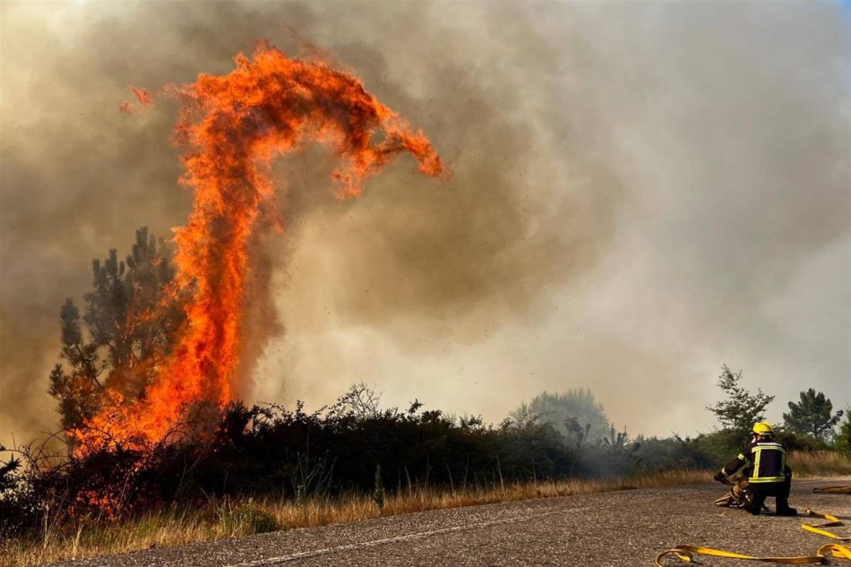 Convivir con el fuego