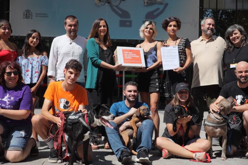 El Gobierno aprueba la primera Ley de Derechos Animales en España