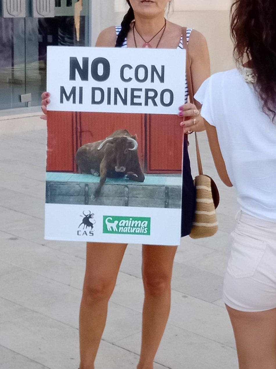 Éxito contra la tauromaquia frente al ayuntamiento de Alfafar (Valencia)