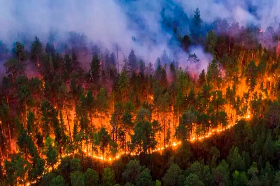 Al menos 25 arrestos en Francia por incendios forestales