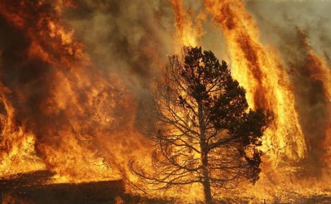 Izquierda Unida presenta mociones en apoyo a las zonas afectadas por los incendios