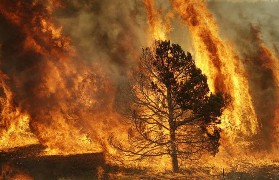 Analizan las repercusiones de las medidas urgentes en materia de incendios forestales en Madrid