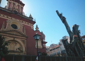 Paralizada temporalmente la tala del polémico ficus de Triana