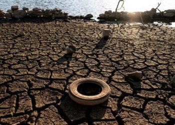 Ola de calor aumenta los problemas de sequía