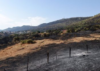 Piden la declaración como Zona de Actuación Urgente y la suspensión de los aprovechamientos cinegéticos en las zonas afectadas por graves incendios en Extremadura