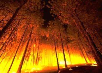 Sistema Europeo de Información sobre Incendios Forestales: los incendios en España han quemado más de 286.000 hectáreas