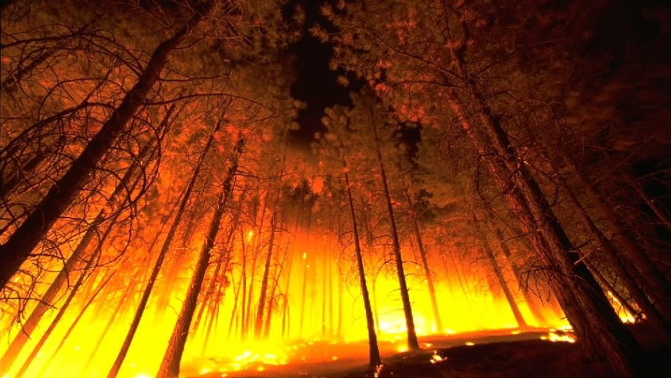 Sistema Europeo de Información sobre Incendios Forestales: los incendios en España han quemado más de 286.000 hectáreas