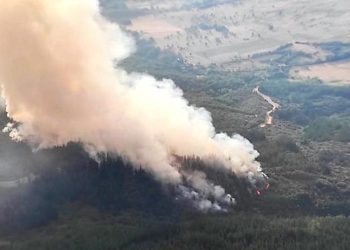 Isabel Maroto (PCE) llama a reflexionar sobre una gestión forestal sostenible e integral que comprenda prevención de incendios, ganadería, aprovechamiento forestal y biomasa