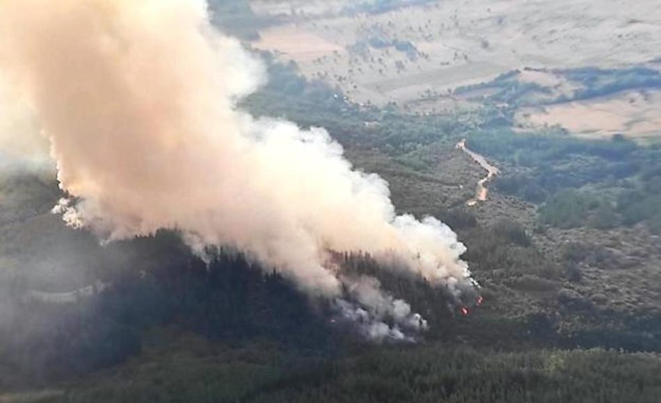 Isabel Maroto (PCE) llama a reflexionar sobre una gestión forestal sostenible e integral que comprenda prevención de incendios, ganadería, aprovechamiento forestal y biomasa