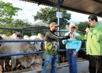 Presidente venezolano aprueba Comisión Nacional de Tierras